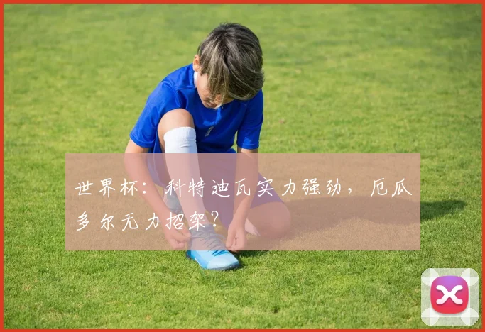 世界杯:科特迪瓦实力强劲,厄瓜多尔无力招架?