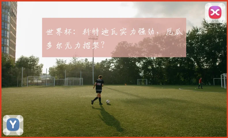 世界杯:科特迪瓦实力强劲,厄瓜多尔无力招架?