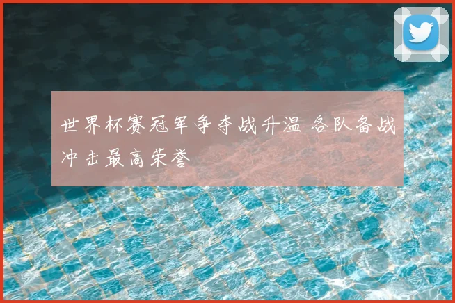 世界杯赛冠军争夺战升温 各队备战冲击最高荣誉