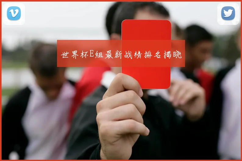 世界杯E组最新战绩排名揭晓