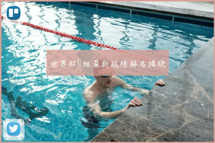 世界杯E组最新战绩排名揭晓